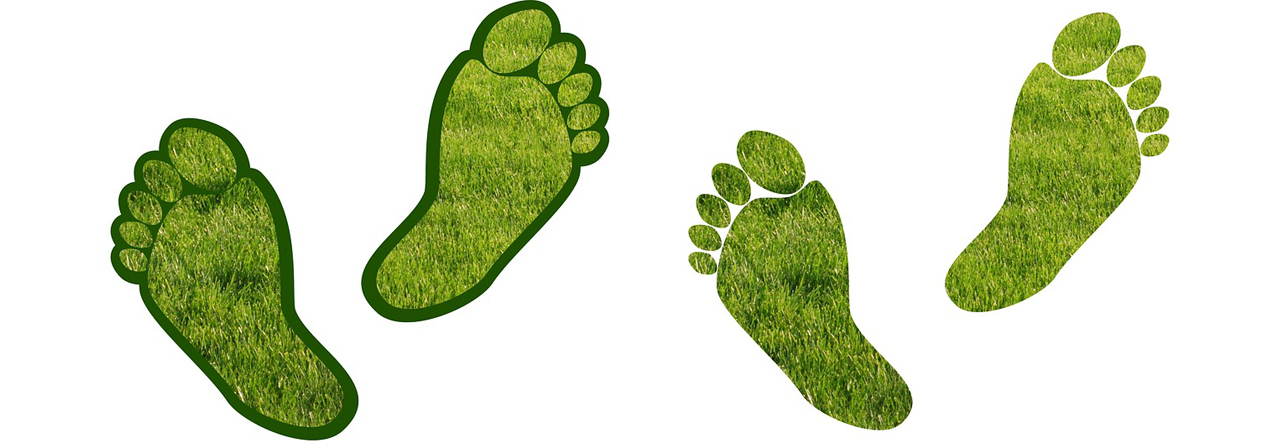 carbon footprint